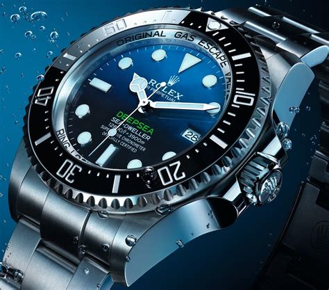 rolex diver price